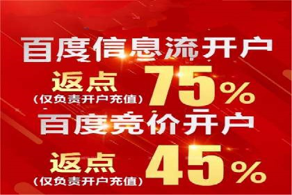 SEO与百度推广结合的营销策略——经典案例解析